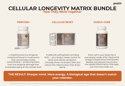 Cellular Longevity Matrix